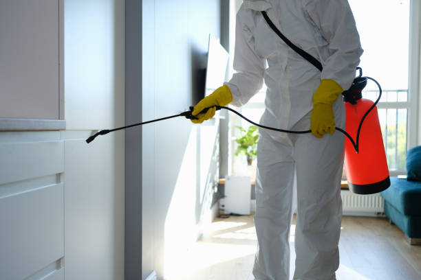 Best Office Mold Removal Services  in Paterson, NJ