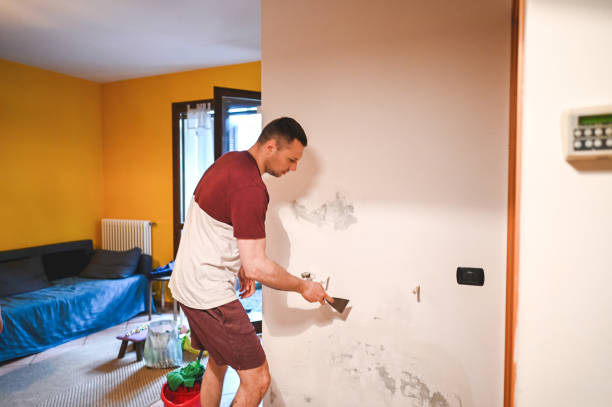 Best Mold Damage Repair  in Paterson, NJ