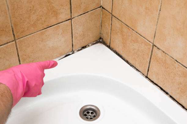 Best Commercial Mold Removal  in Paterson, NJ